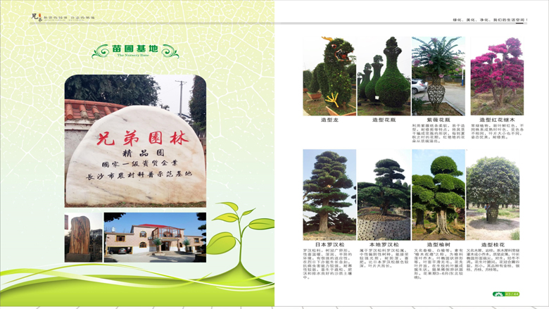 湖南柏嘉兄弟園林建設有限公司-企業(yè)宣傳 - 副本_96.jpg